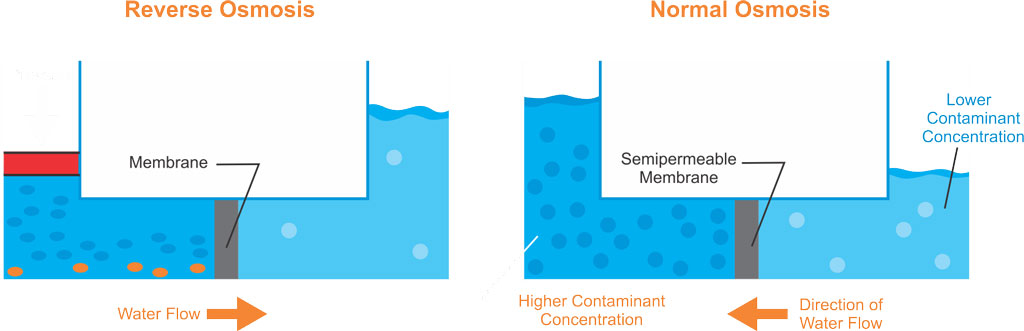 اسمز و اسمز معکوس چیست